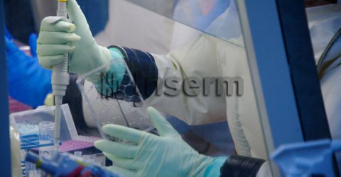 Laboratoire P4 : 3 questions à Delphine Pannetier